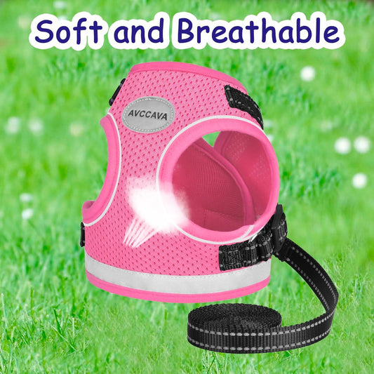 Cat Harness and Leash for Walking, Kitten Escape Proof Harnesses, Adjustable Reflective Puppy Harness with Leashes Set, Easy Adjustable Soft Net Breathable Pet Safety Vest