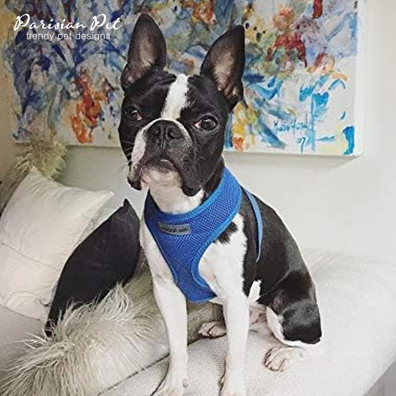 Dog Harness - Adjustable Bright Blue Dog Vest Harness - Comfortable Padded, No Pull Puppy Harness - Cooling Dog Harness for Large Dogs - Idle for Walking, Running, and Hiking - XL