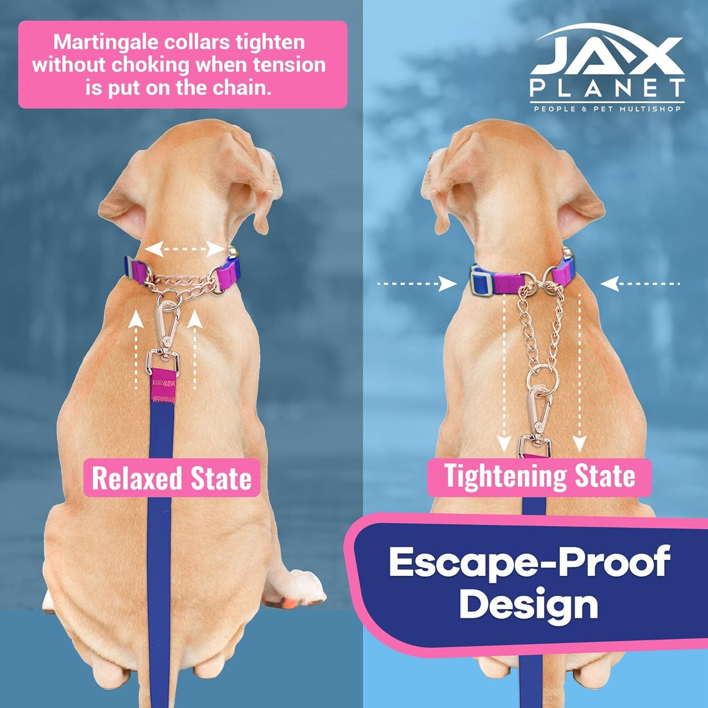 Jelly Waterproof Martingale Dog Collar, No Pull Nylon Collar with Alloy Metal Buckle & D-Ring for Outdoor Training and Walking, anti Pull, Escape Free, One Time Adjustment - Blue & Rose, M