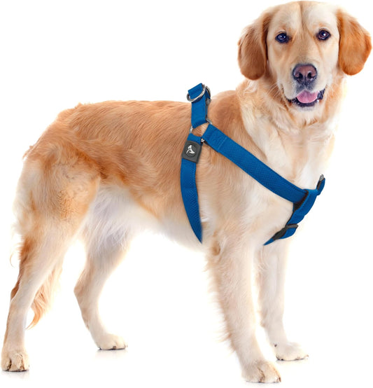 Kruz No Pull Dog Harness (Chest 30”-44”, Weight 66-176 Lbs) Heavy-Duty Pet Harness for Large Breeds, Ultra-Comfort Fit, Lifetime Durability, Adjustable Dog Harness No Pull Design (Blue, X-Large)