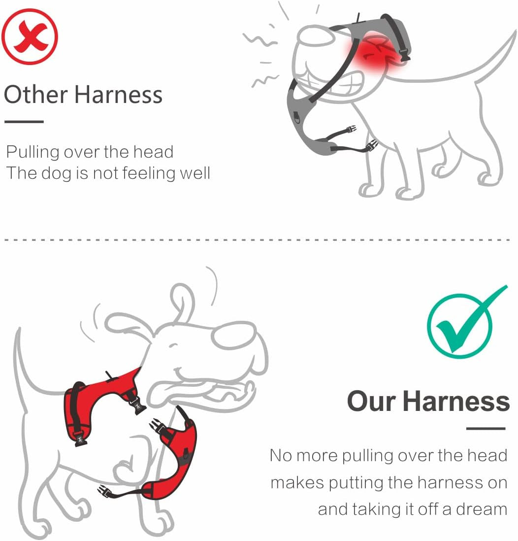 No Pull Dog Harness with 4 Buckles for Puppy Small Dogs (Black,S)