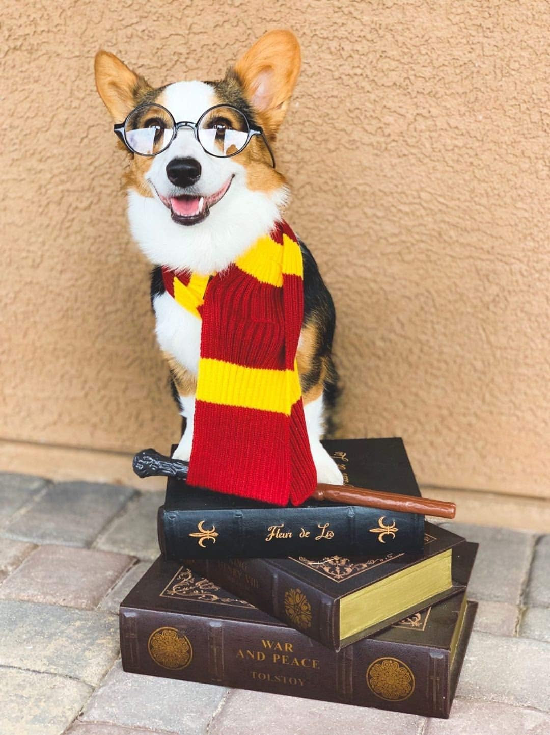 Red Yellow Striped Scarf Dog Costume - X Large Medium Small French Lab Clothes Cosplay Halloween Costumes, M, Red