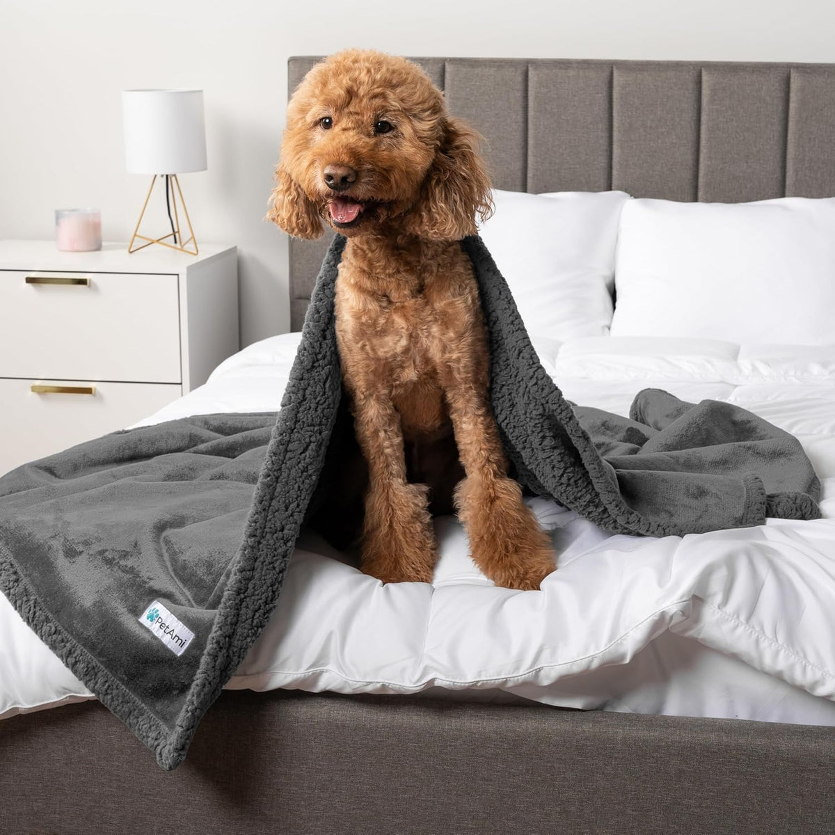 Waterproof Dog Blanket for Small Medium Dog Puppy Cat Throw for Couch Cover Leakproof Protection, Sherpa Fleece, Reversible Soft Washable 29X40 Gray Gray
