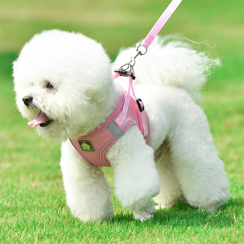 Dog Harness and Leash Set, No Pull Breathable Soft Mesh Puppy Vest Harness Reflective Adjustable Pet Harnesses for Small Medium Dogs and Cats - Outdoor Easy Control for Walking