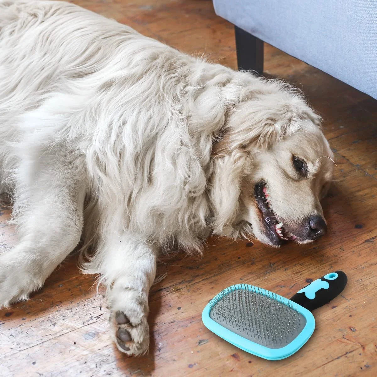 Dog Brush & Cat Brush- Slicker Pet Grooming Brush- Shedding Grooming Tools(Blue)