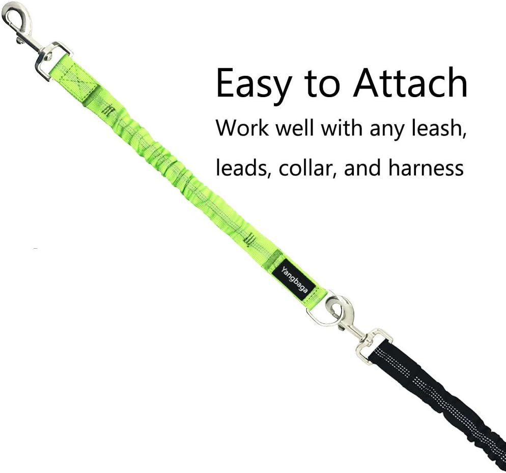 Dog Leash Extender, Shock Absorber Bungee Leash Attachment, Durable Nylon Dog Tie Out Extension with Stainless Steel Swivel Clips