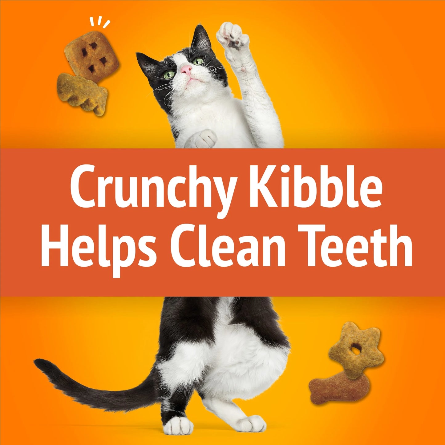 (2 Pack)   Party Mix Cat Treats, Original Crunch Snacks, 30 Oz. Canister
