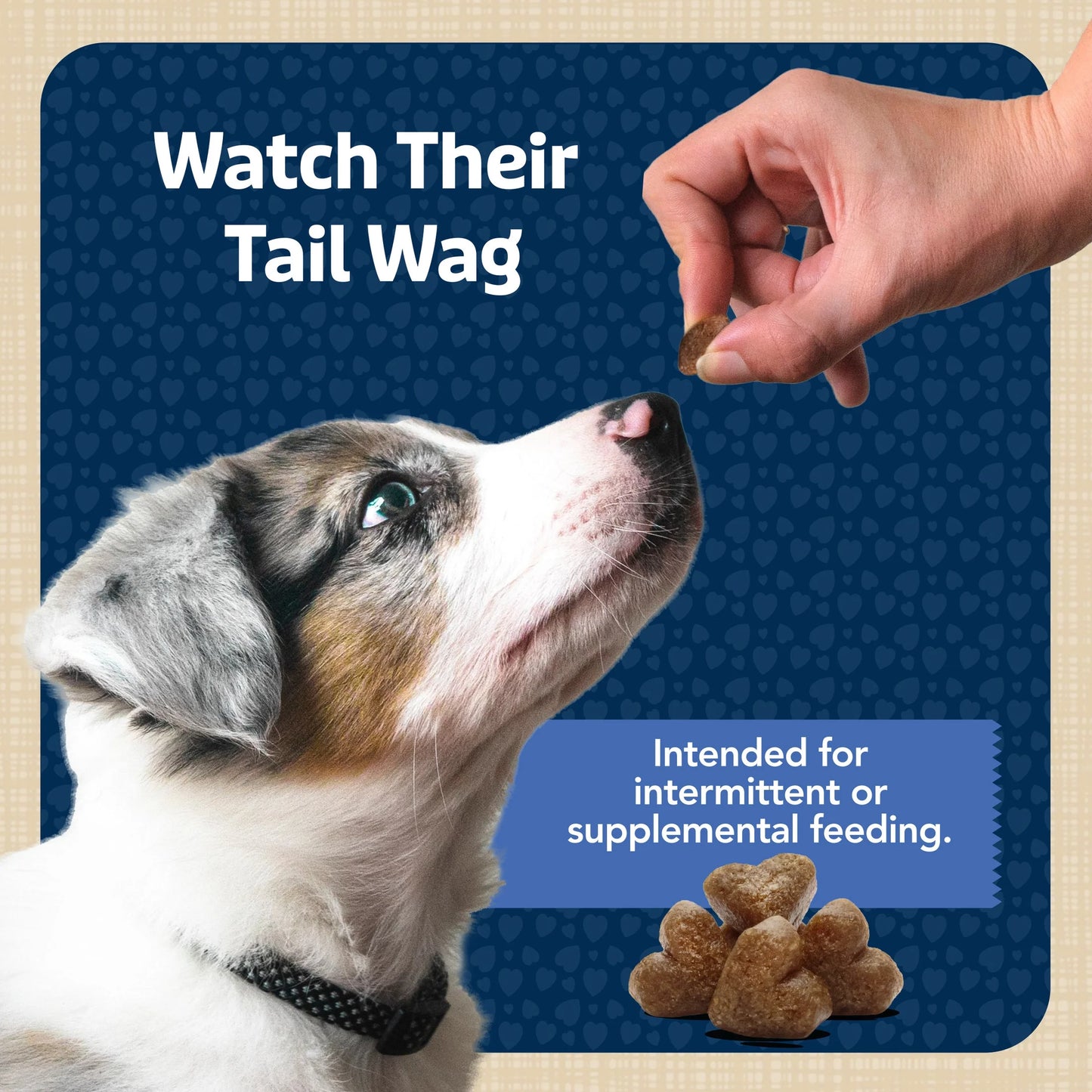 Bits Soft Dog Treats for Training, Enhanced with DHA, 19-Oz. Bag