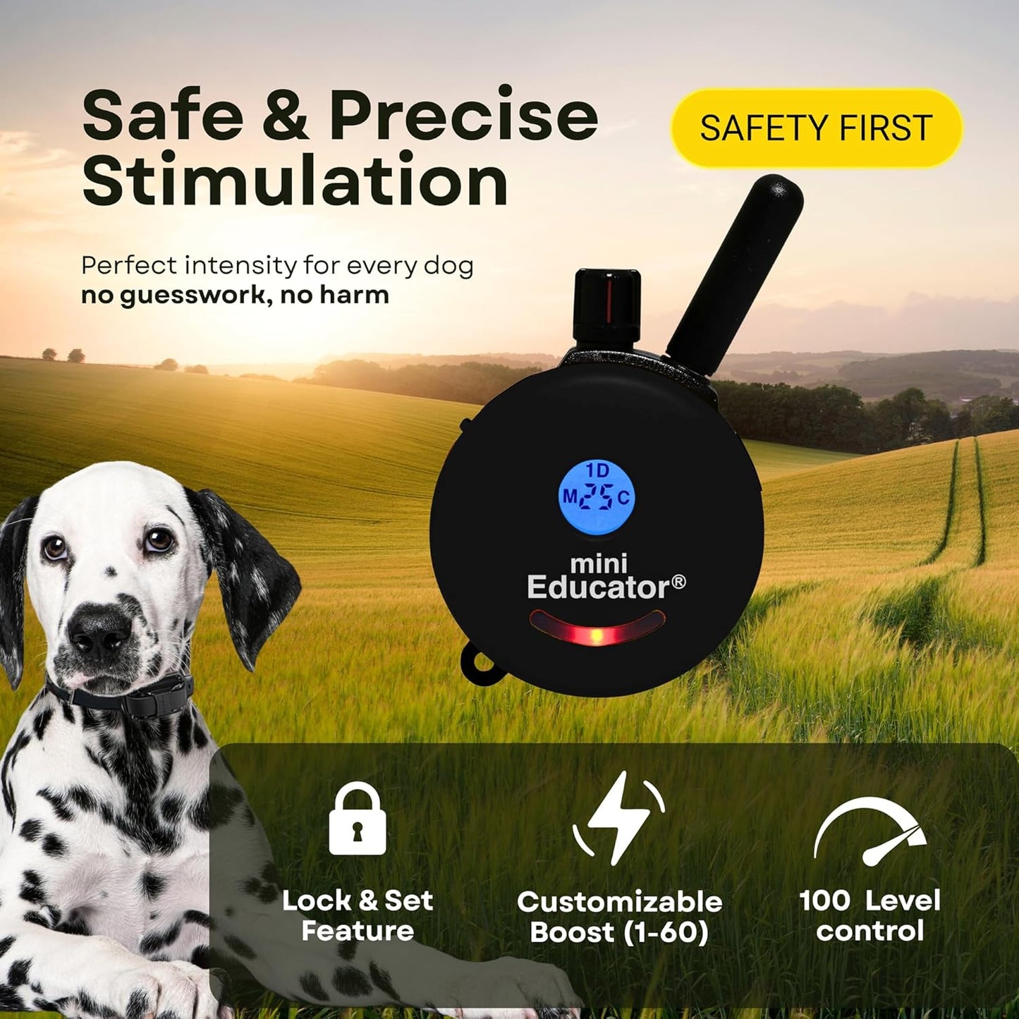 E-Collar ET-300 / ET-302 Dog Training Collar System with Remote - 1/2 Mile Range - Waterproof, Vibration, Sensation - Includes Eoutletdeals Pet Towel (1 Dog System - ET-300 Black)