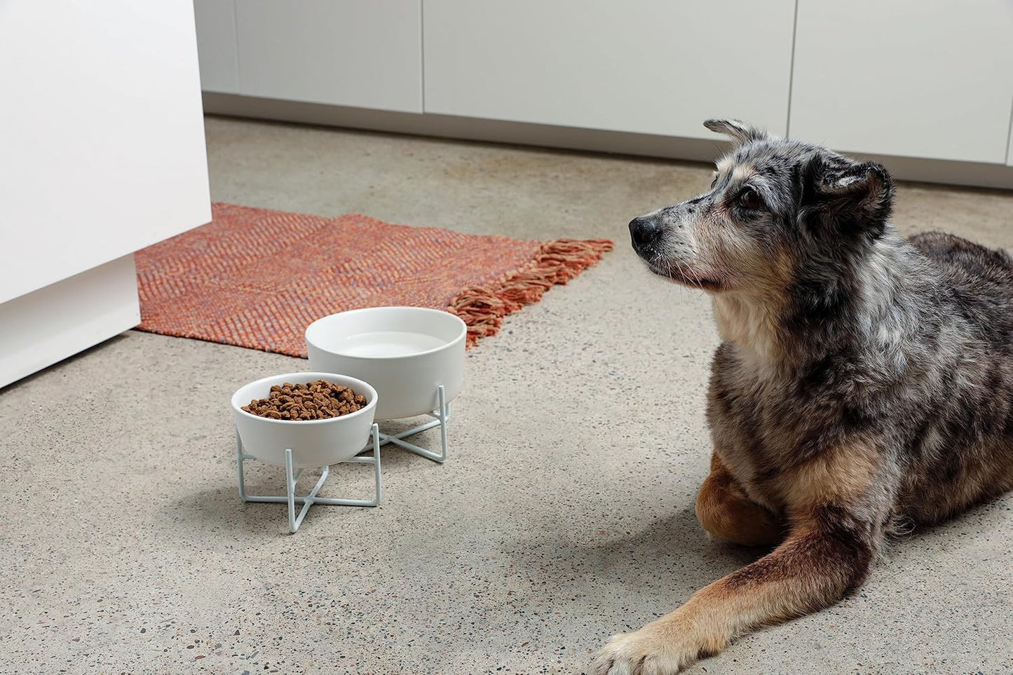 Simple Solid Dog Bowl and Dog Bowl Stand - Single Iron Stand with Single Ceramic Feeder or Water Bowl (Medium, Matte White)