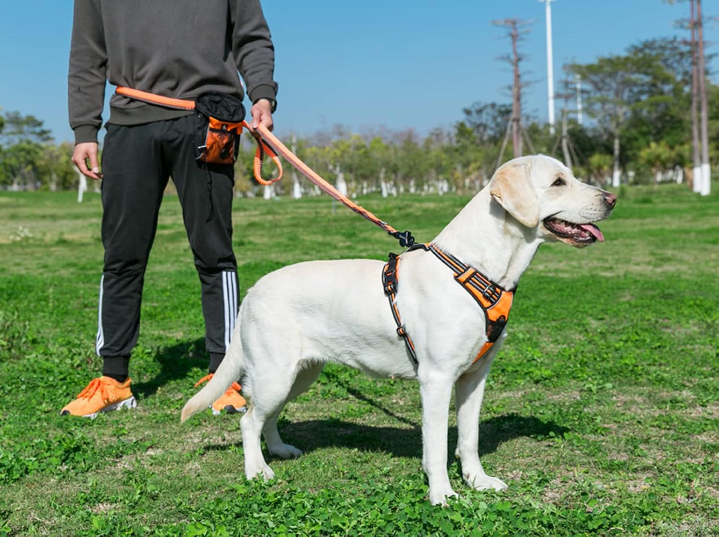 Adjustable No-Pull Dog Harness Reflective Pup Vest Harnesses Comfortable Control Brilliant Colors Tlh5651(Orange,M)