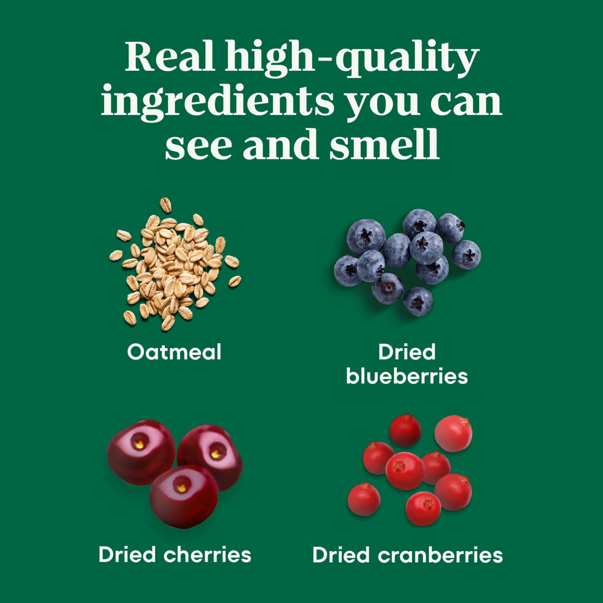 Crunchy Dog Treats with Real Mixed Berries, 16 Oz. Bag