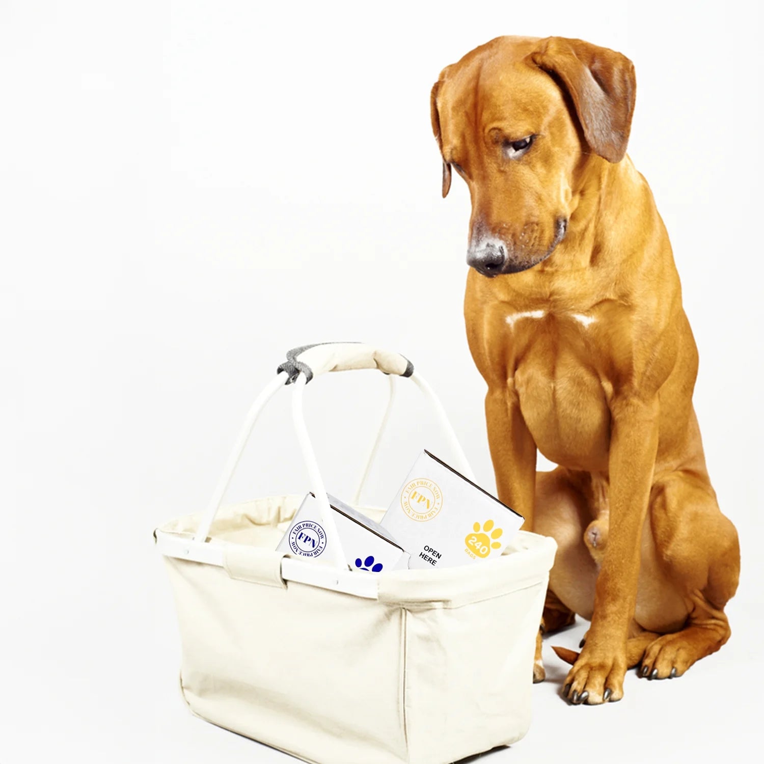 Biodegradable Dog Poop Bags – 240 Count (16 Rolls), Lemon Scented | Extra Thick Leak-Proof 13X9” Pet Waste Bags Eco-Friendly, Easy-Tear Dog Waste Bags
