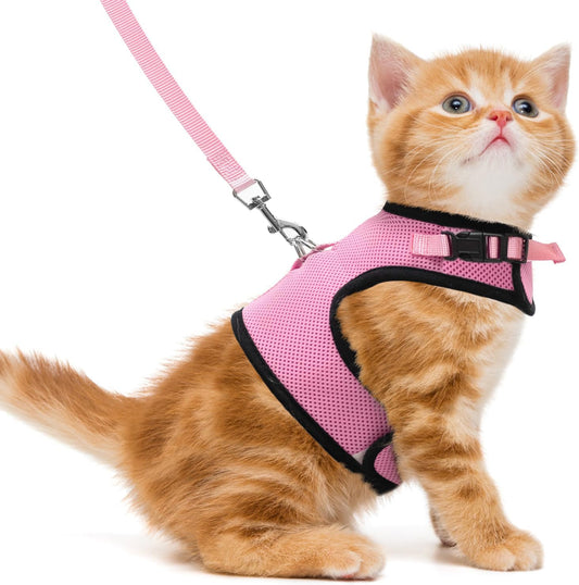 Soft Mesh Cat Vest Harness and Leash Set Puppy Padded Pet Harnesses Escape Proof for Cats Small Dogs (Small, Pink)