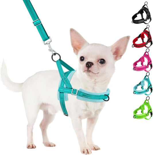 No Pull Small Dog Harness and Leash Set, Puppy Soft Vest Harness Neck & Chest Adjustable, Reflective Lightweight Harness & Anti-Twist Pet Lead Combo for Small Medium Dogs(Bl-Front Clip,Xxs)