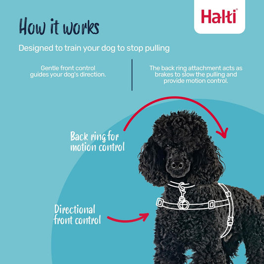 Front Control Harness Size Large &  Training Leash Size Large, Black Combination Pack - Stop Your Dog Pulling on the Leash. Adjustable, Lightweight and Easy to Use. Suitable for Large Dogs