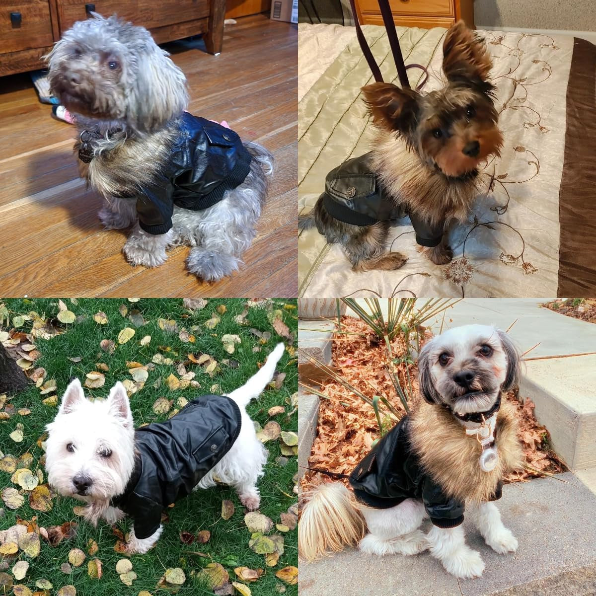 Dog Leather Jacket for Small Dogs, Waterproof Dog Winter Jacket Puppy Coat with Fleece Lined, Ultra Warm Fur Collar Doggie Coat, Black X-Large