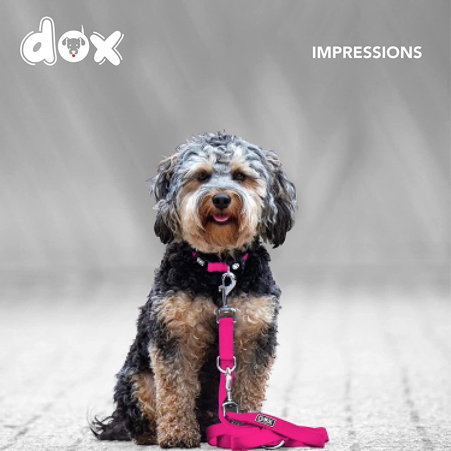 Nylon Dog Leash - 6.6 Ft, 3-Way Adjustable Leash Dogs - S (Pink)