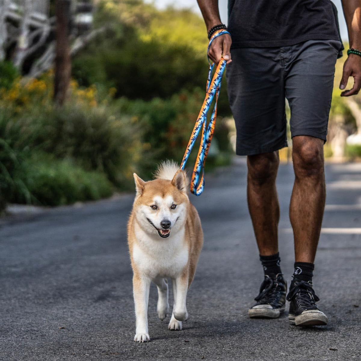 Wolfgang Heavy Duty, Adjustable Dog Collar with Quick Release Nylon Buckle for Walking & Training, Sunsetpalms Print, Medium