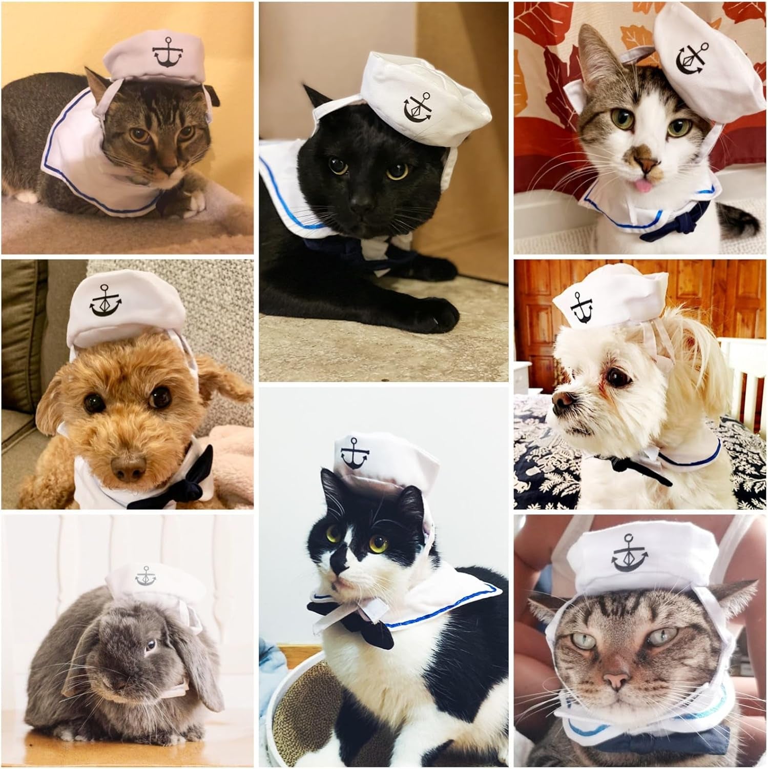 Cat Sailor Costume, Halloween Small Dog Sailor Hat Outfit with Tie, Adjustable Pet Navy Costume for Cats Doggies Rabbits Cosplay