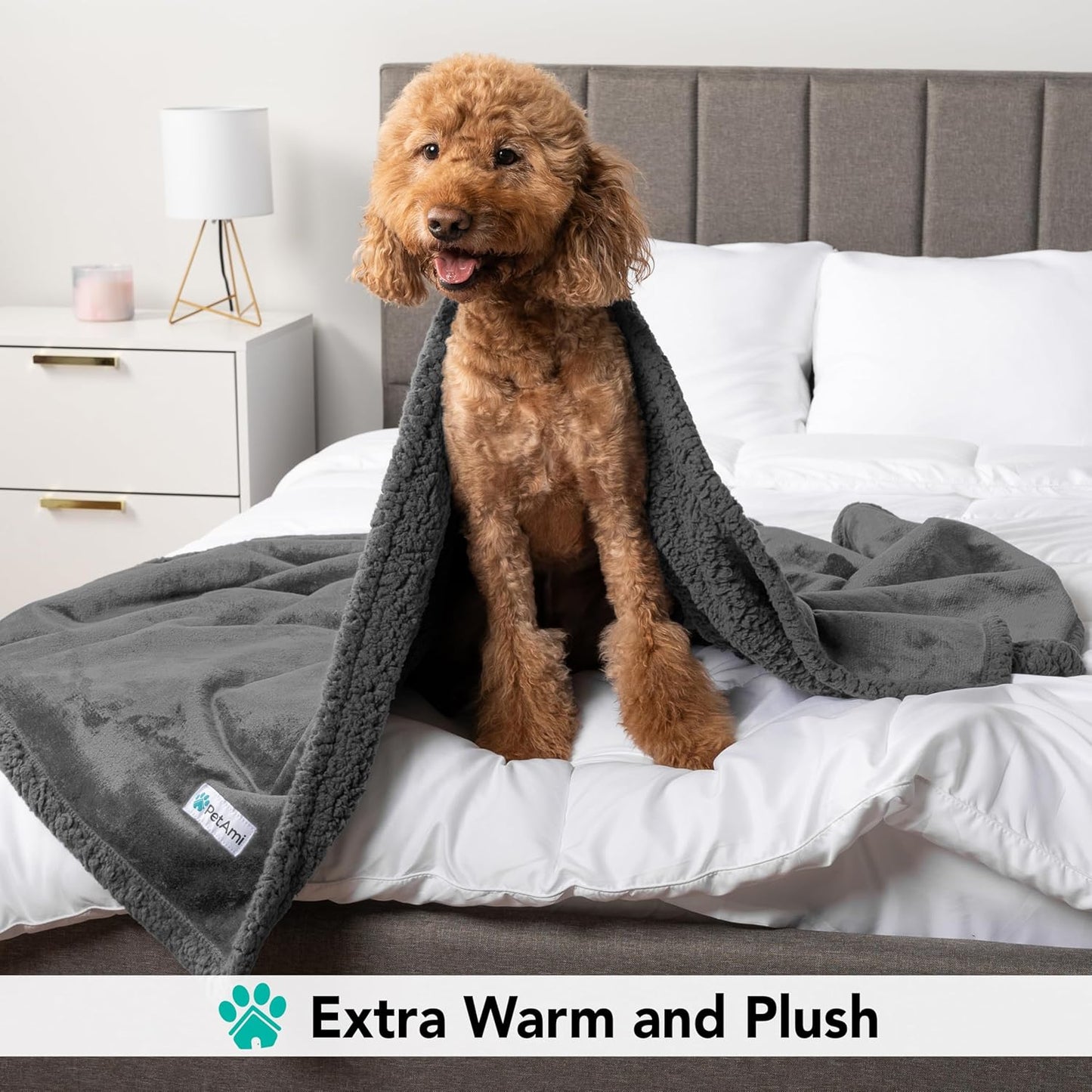 Dog Blanket for Bed, XL Pet Blanket Large Dogs, Fleece Furniture Couch Cover Protector Sofa Car Crate Kennel, Soft Sherpa Cat Throw Plush Reversible Washable, Twin 60X80 Solid Dark Gray