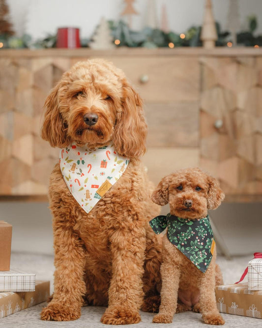 Dog Bandanas - 2 Pack | Holly Set | Premium Durable Fabric | Patented Shape Bandanas for Dogs | Adjustable Fit | Multiple Sizes Offered