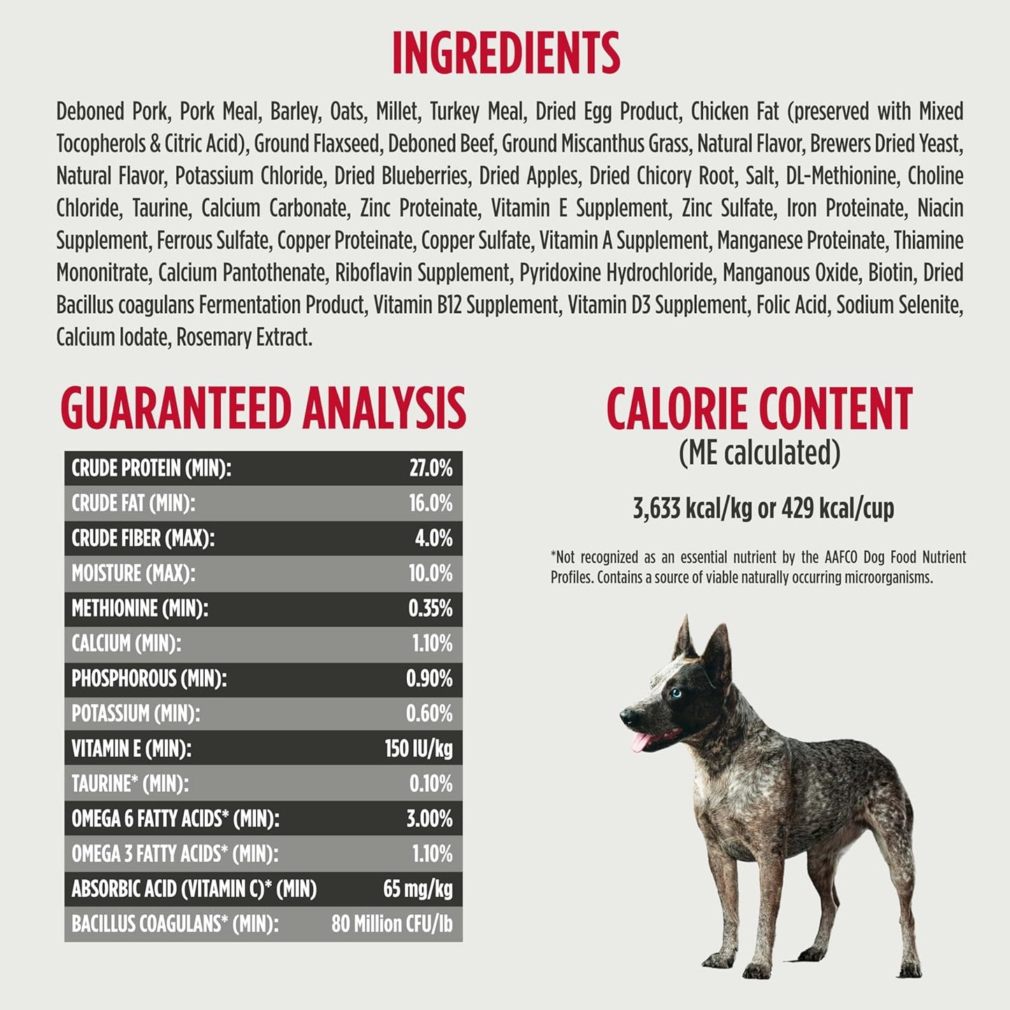 Frontrunner Ancient Grains High-Protein Dog Food, Pork, Barley, & Beef Recipe- Natural Dry Dog Food with Probiotics, Grain-Inclusive Kibble for Adult Dogs, 25 Lb Bag