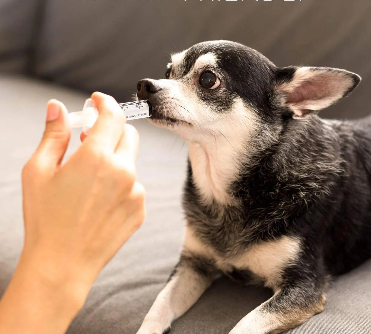 Anti-Diarrhea for Dogs and Cats, 4 Oz, Upset Stomach Relief