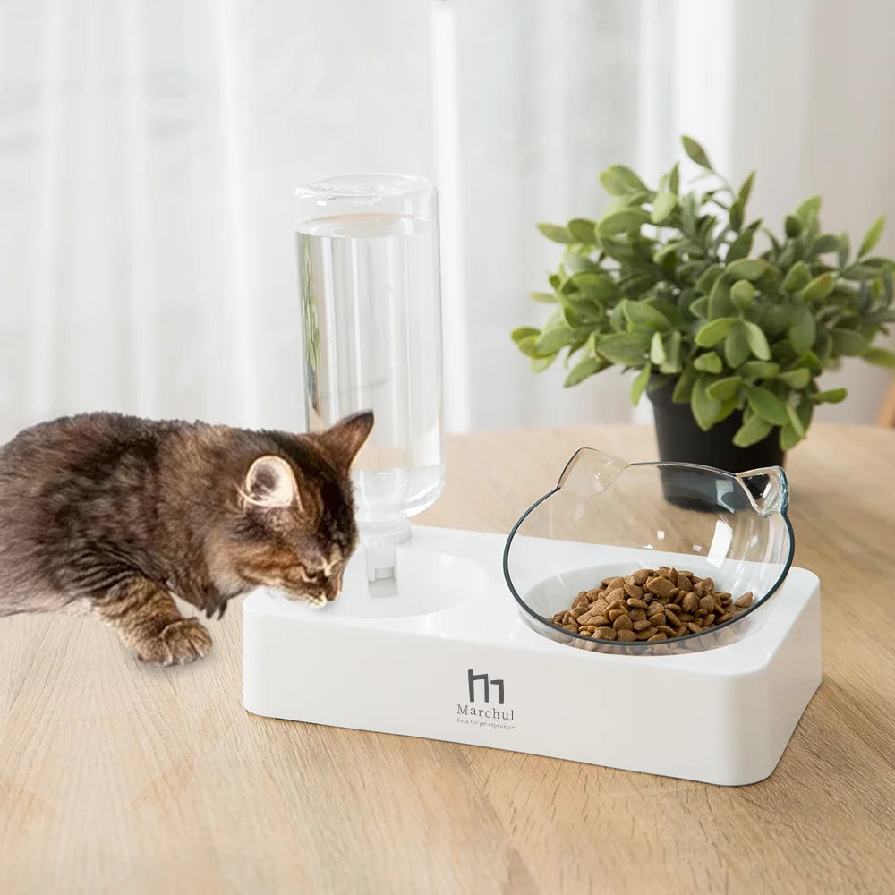 Tilted Cat Bowl Set for Food and Water, Food Feeding Raised Dishes for Puppies