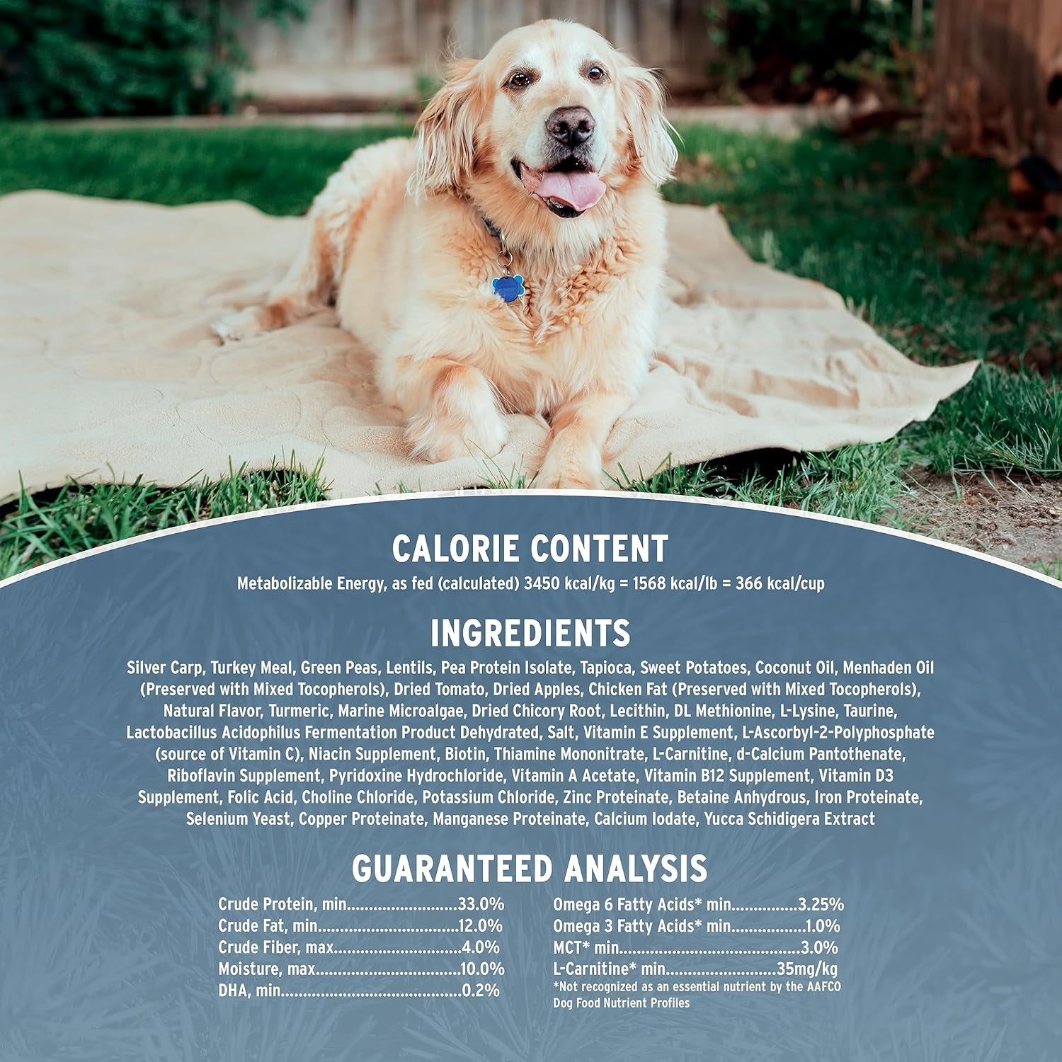 Grain-Free Re-Juvenate Senior Formula Dry Dog Food, (Fresh Silver Carp & Turkey), 12-Lb Bag