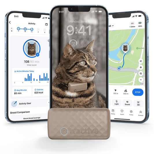 Cat Mini GPS Tracker with Activity Monitoring, Fits Any Collar (Brown)