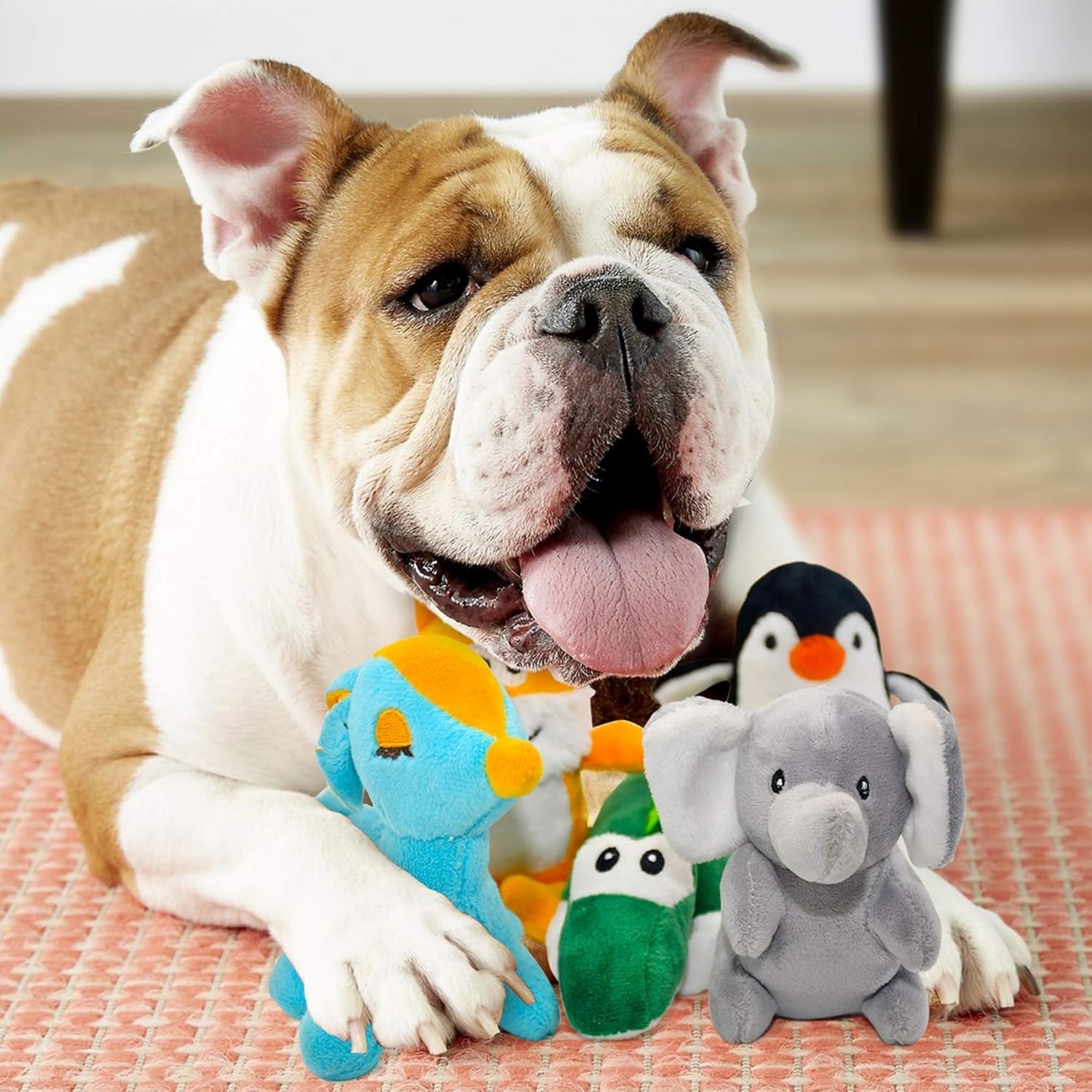 Dog Squeaky Toys for Small Dogs,Stuffed Animal Puppy Toy,Cute Puppy Chew Toy for Dog Teething, for Small to Medium Dogs,Soft Plush Pet Toys Pack 12 in Gift Box