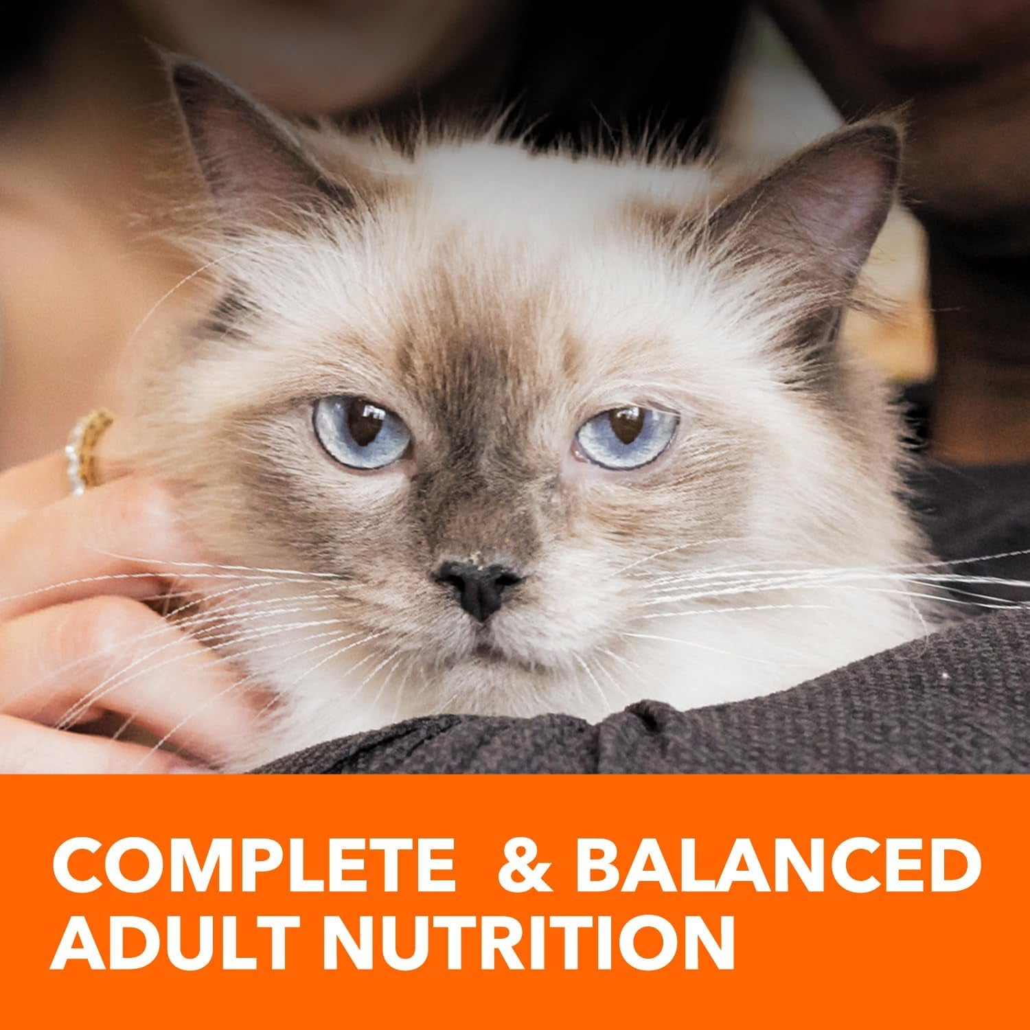 Proactive Health Adult Healthy Dry Cat Food with Chicken, 7 Lb. Bag