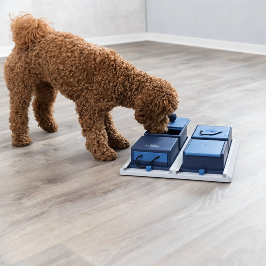 Dog Activity Poker Box 1 Strategy Game, Level 2 Dog Puzzle Toy, Treat Dispenser
