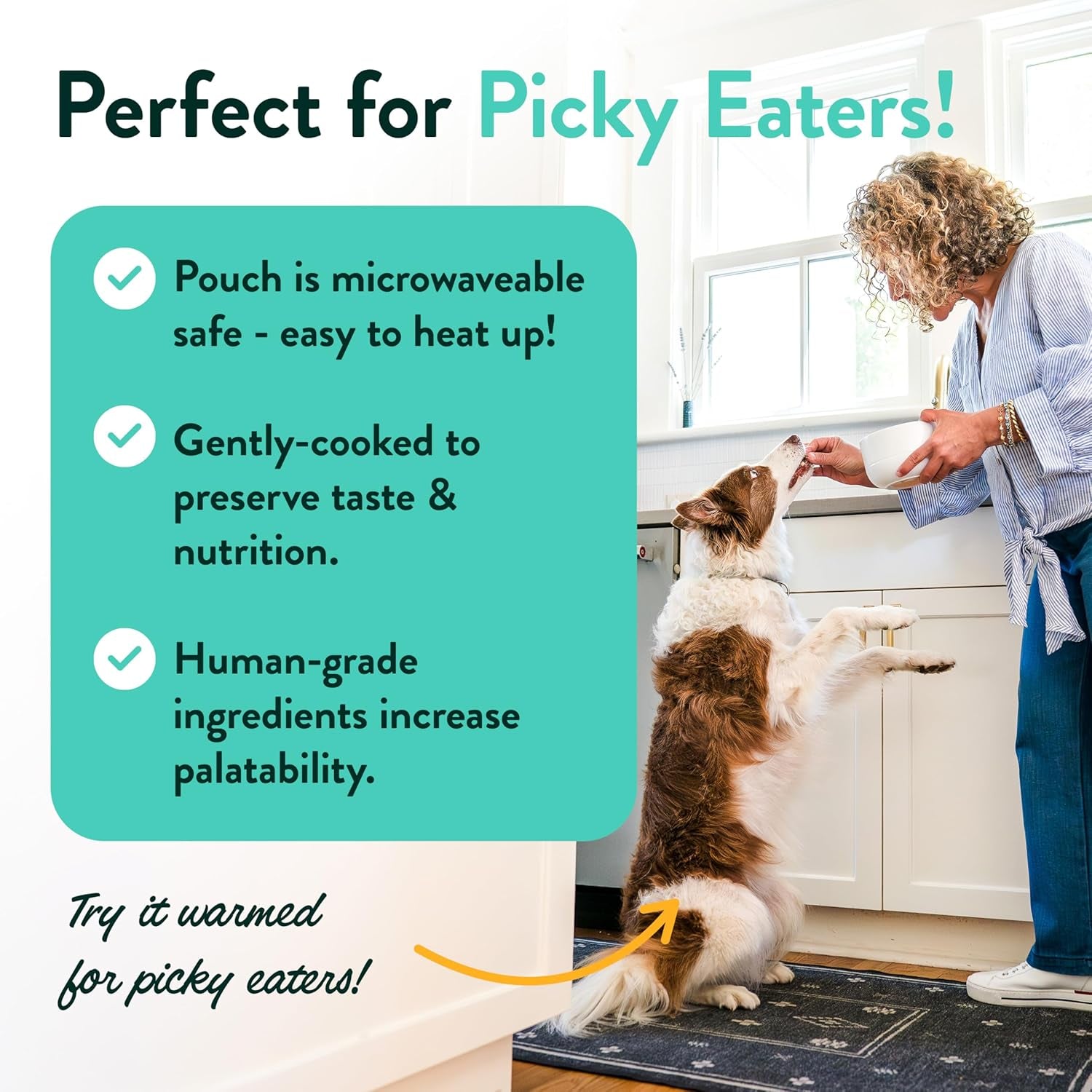 Fresh Dog Food Pouches - Human-Grade Toppers Wet Pet Meal & Mixers - Small & Large Breed Puppy & Senior Dogs - Gluten-Free, Limited Ingredient Salmon & Beef - 8 Pack Variety