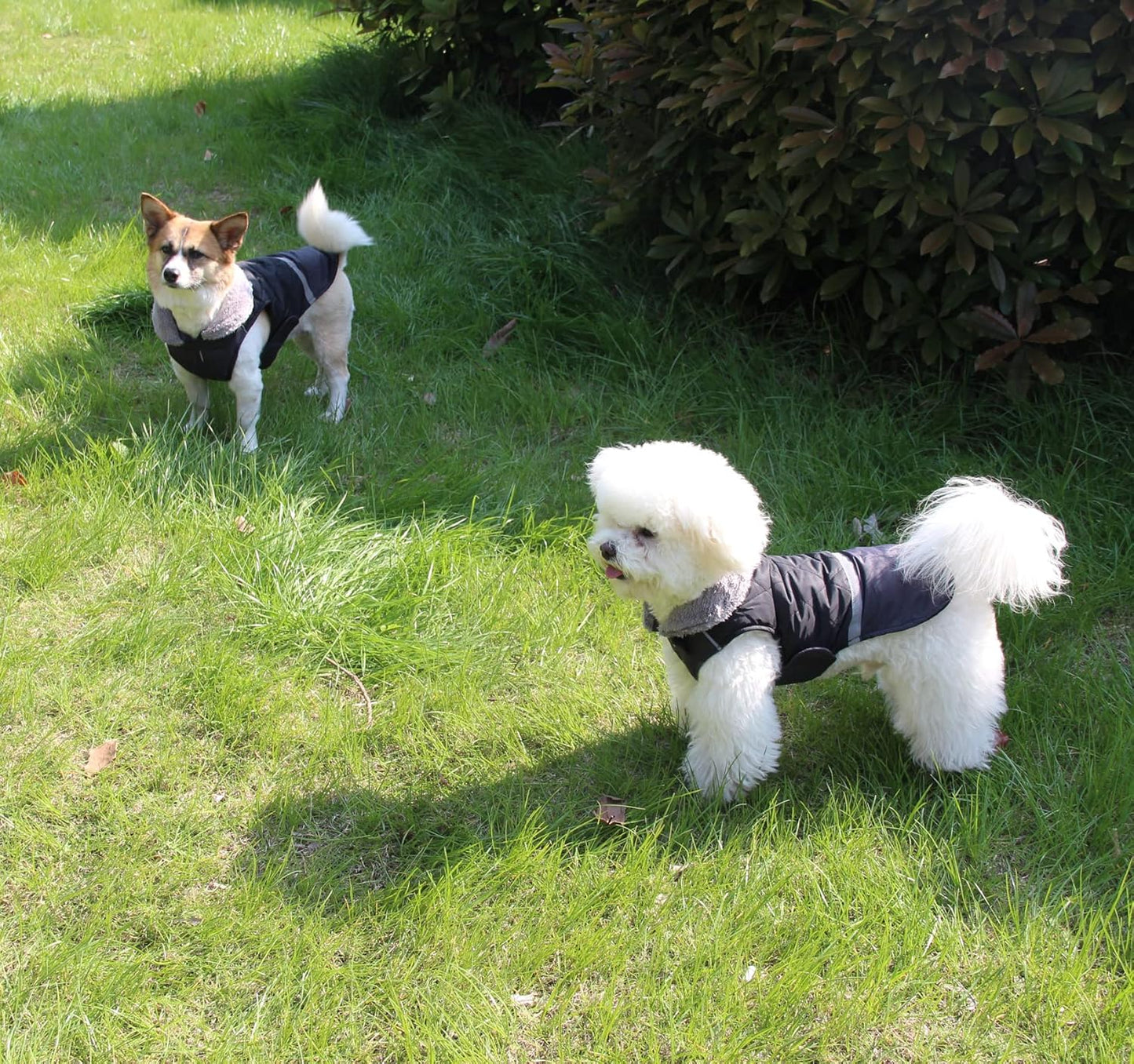 Fleece Collar Reversible Dog Coats for Small Dogs Waterproof Warm Puppy Jacket for Cold Winter,Black S