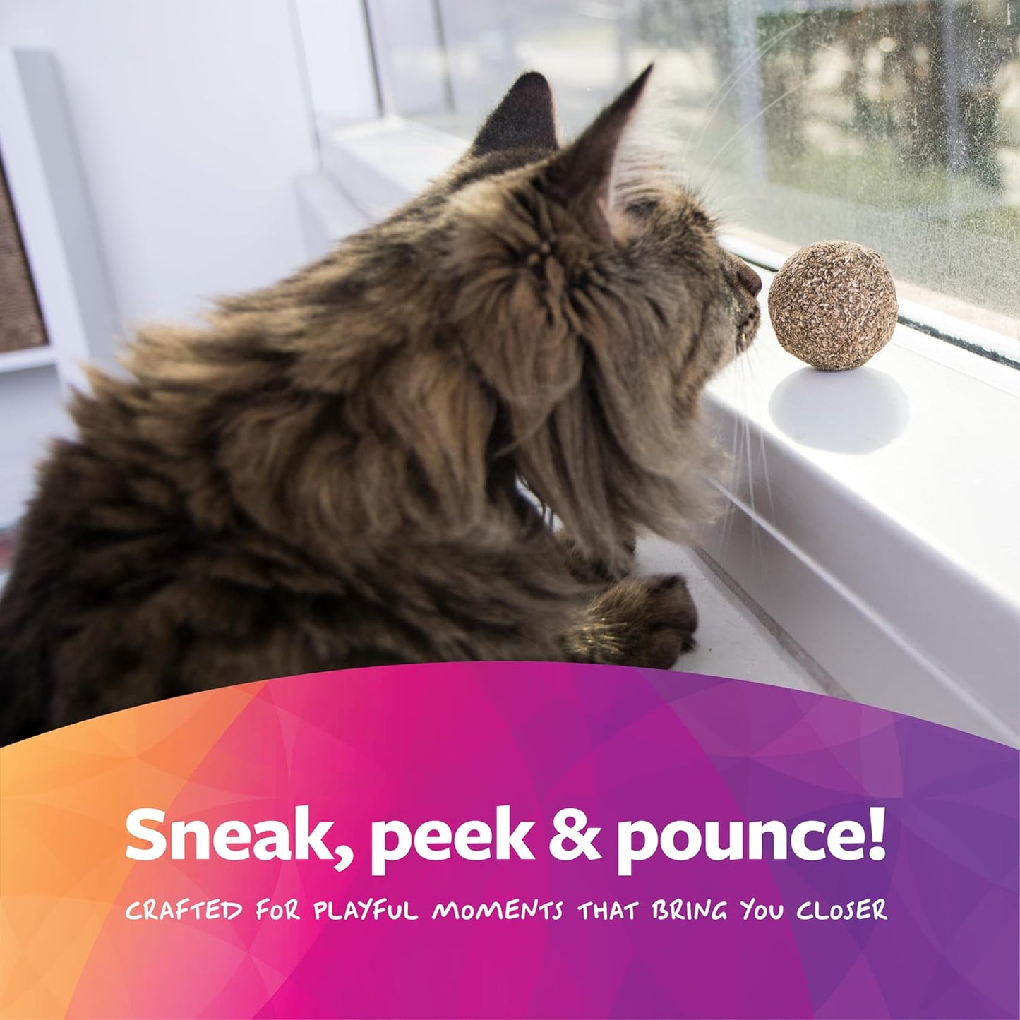 Catnip Toy, Compressed Catnip Ball for Indoor Cats & Kittens, Encourages Play with Less Mess, Cat Toy for All Ages, 5-Pack