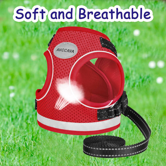 Cat Harness and Leash for Walking, Kitten Escape Proof Harnesses, Adjustable Reflective Puppy Harness with Leashes Set, Easy Adjustable Soft Net Breathable Pet Safety Vest