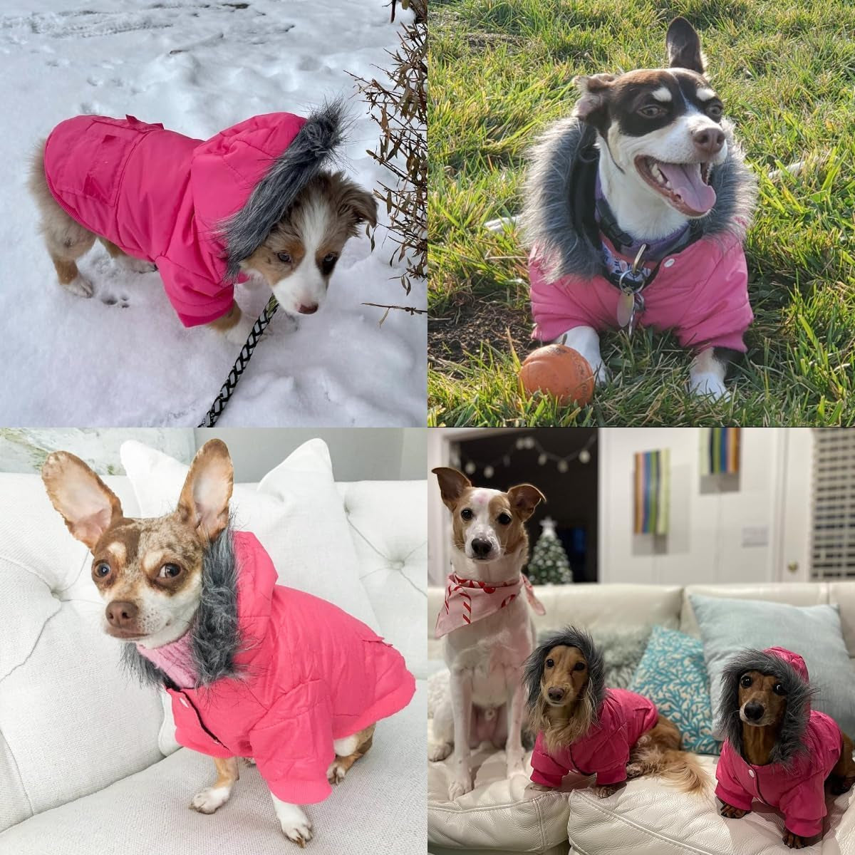 Dog Coat for Small Dogs, Warm Doggie Winter Jacket with Leash Hole, Small Dogs Puffer Jacket in Winter, Pink M