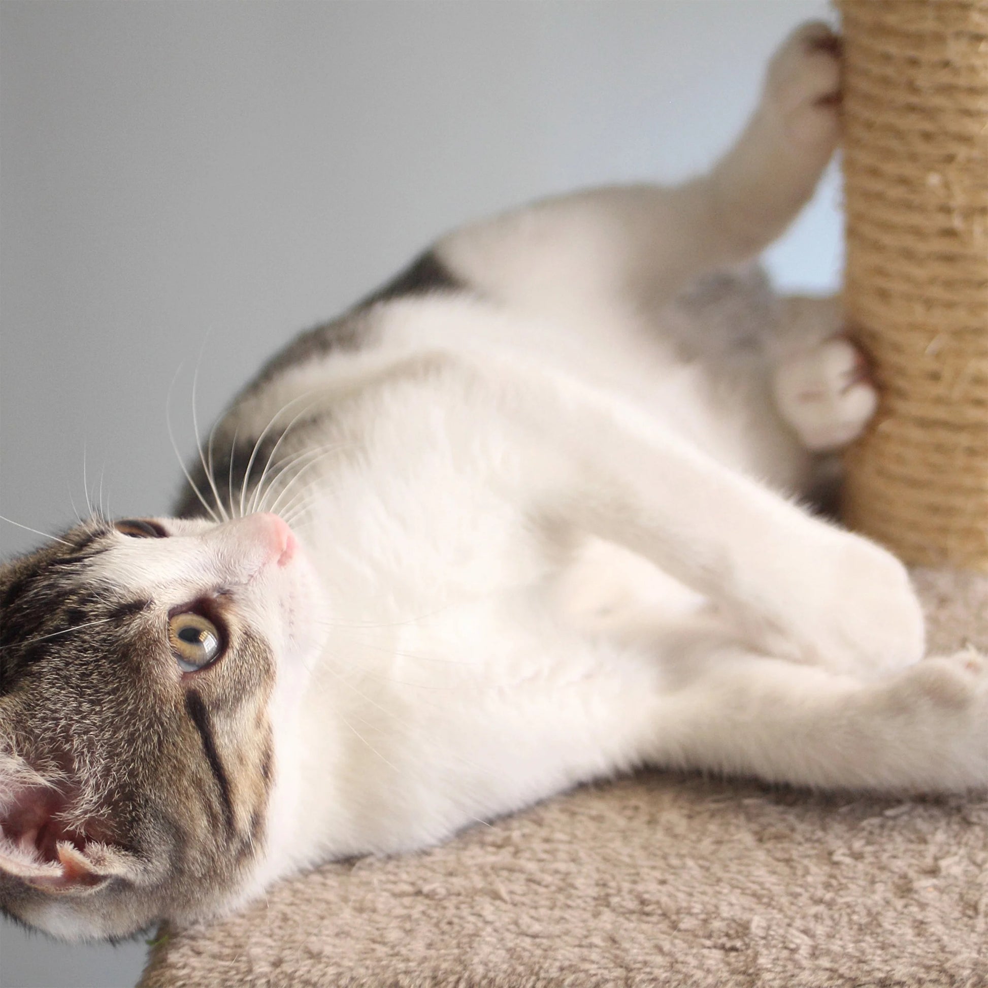 3-Tier Cat Tree with Napping Perches and Scratching Posts (Brown)