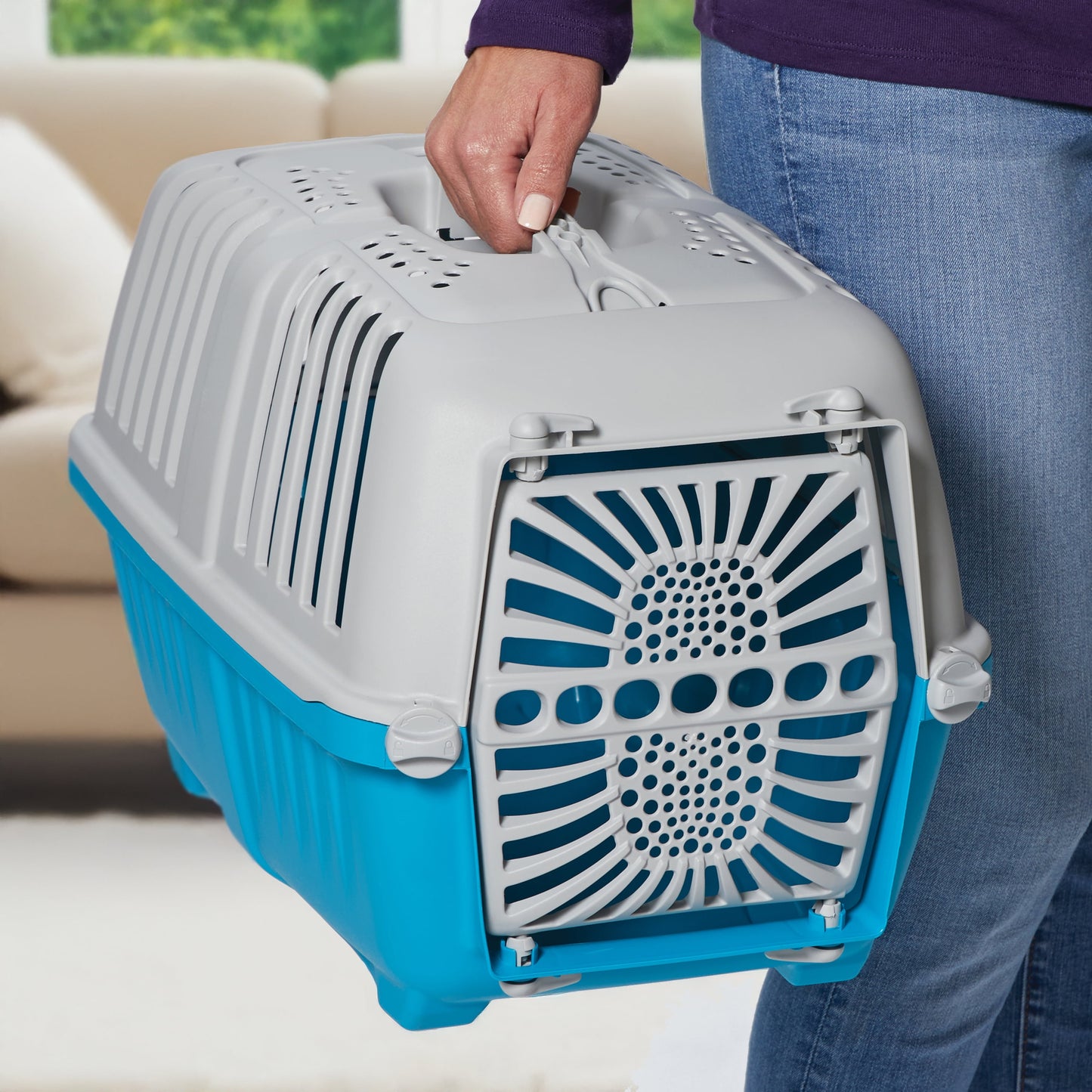 19 Inch Spree Travel Pet Carrier for Dog or Cat with Plastic Door, Blue