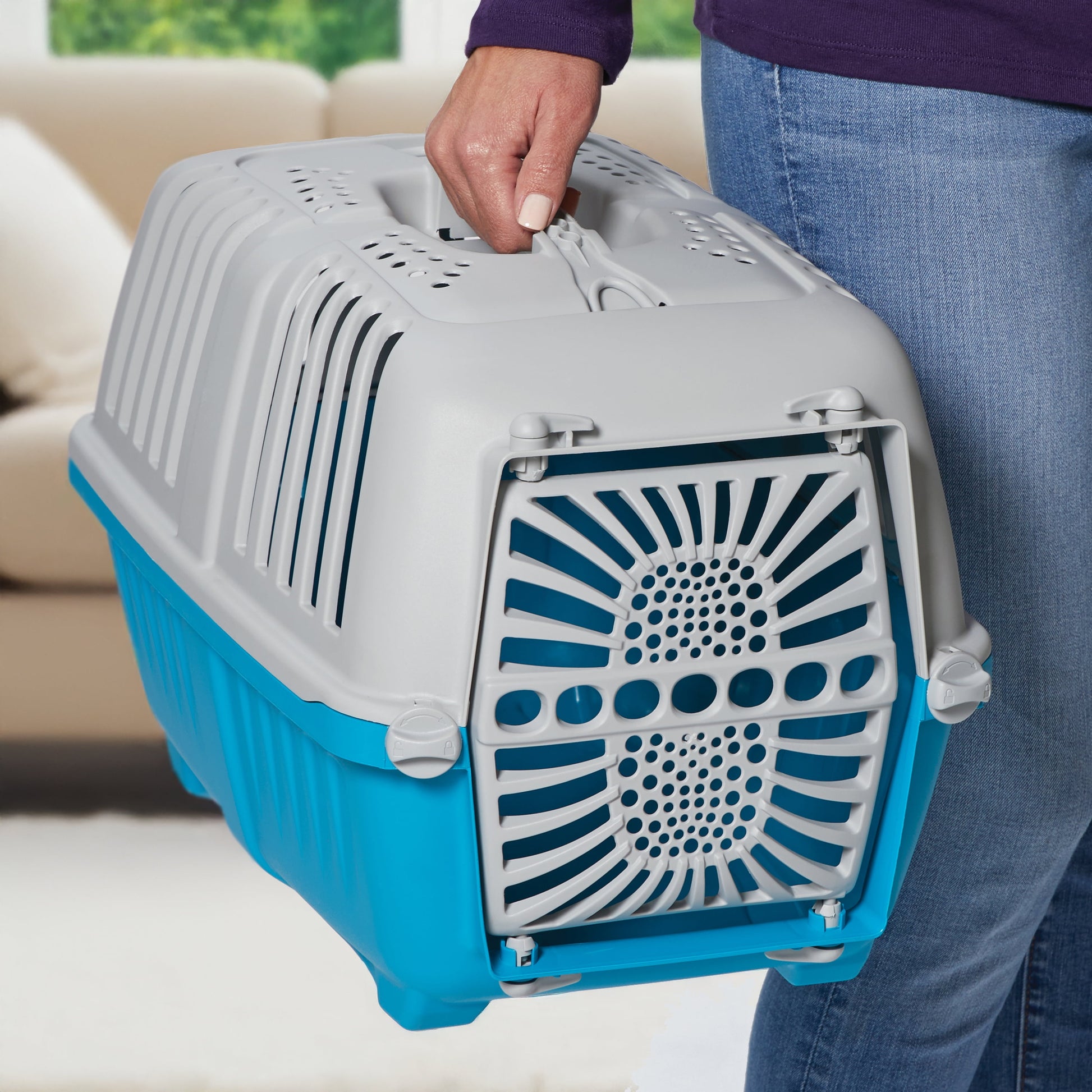 19 Inch Spree Travel Pet Carrier for Dog or Cat with Plastic Door, Blue