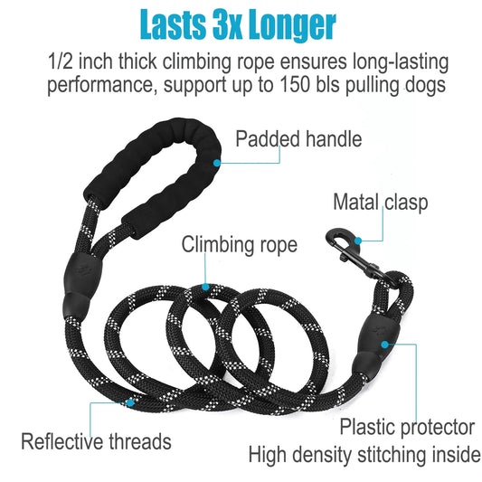 Double Dog Leash for 2 Dogs, Dual Dog Training Leash,  360 Swivel No Tangle Walking Two Dog Leash for Dog Training, Shock Absorbing Bungee Double Leash for 2 Dogs, Black (25-150 Lbs)
