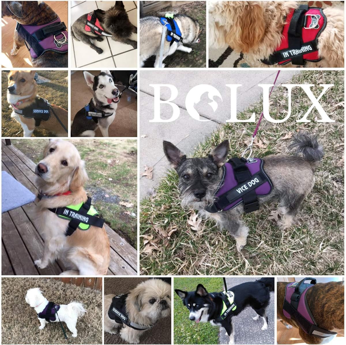 Dog Harness, No-Pull Reflective Dog Vest, Breathable Adjustable Pet Harness with Handle for Outdoor Walking - No More Pulling, Tugging or Choking ( Army Yellow, M )