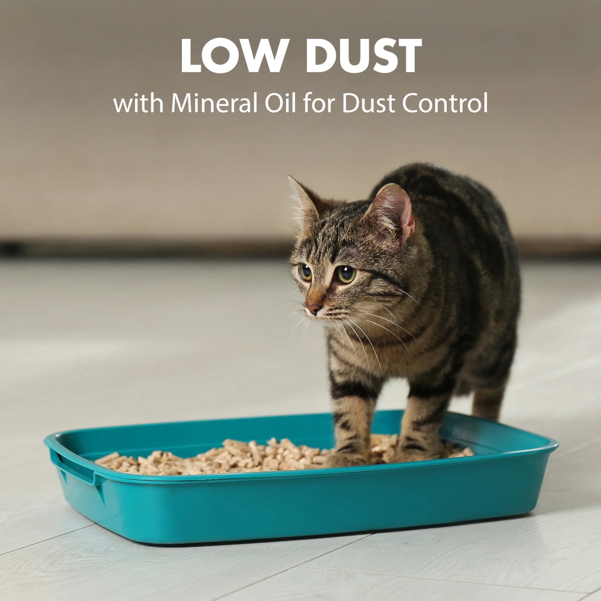 Naturals Clumping Cat Litter with Corn Fibers, Odor Control, Fresh Scent, 9 Lbs