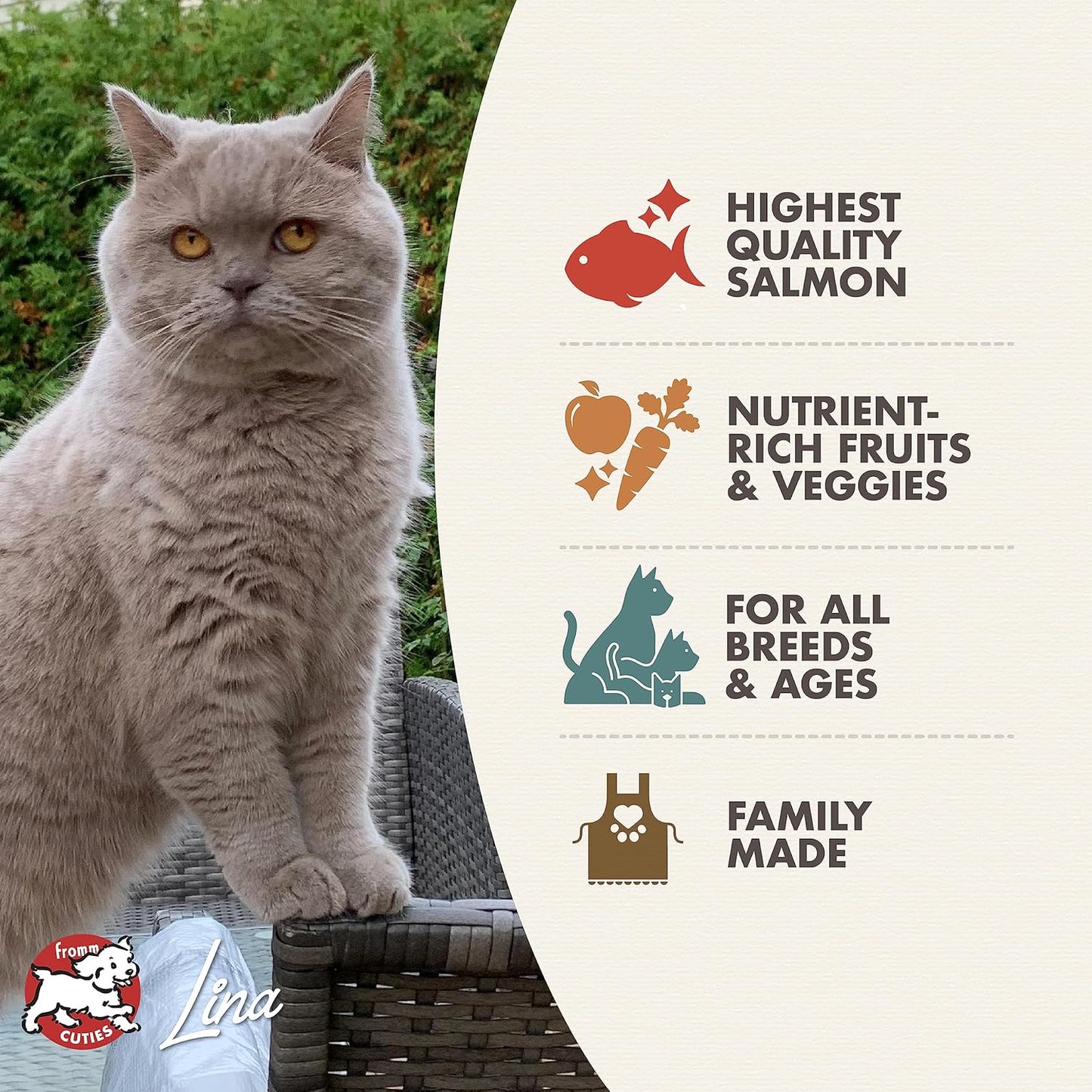 Nutritionals Salmon a La Veg Cat Food - Premium Dry Cat Food - Salmon Recipe - 4 Lb