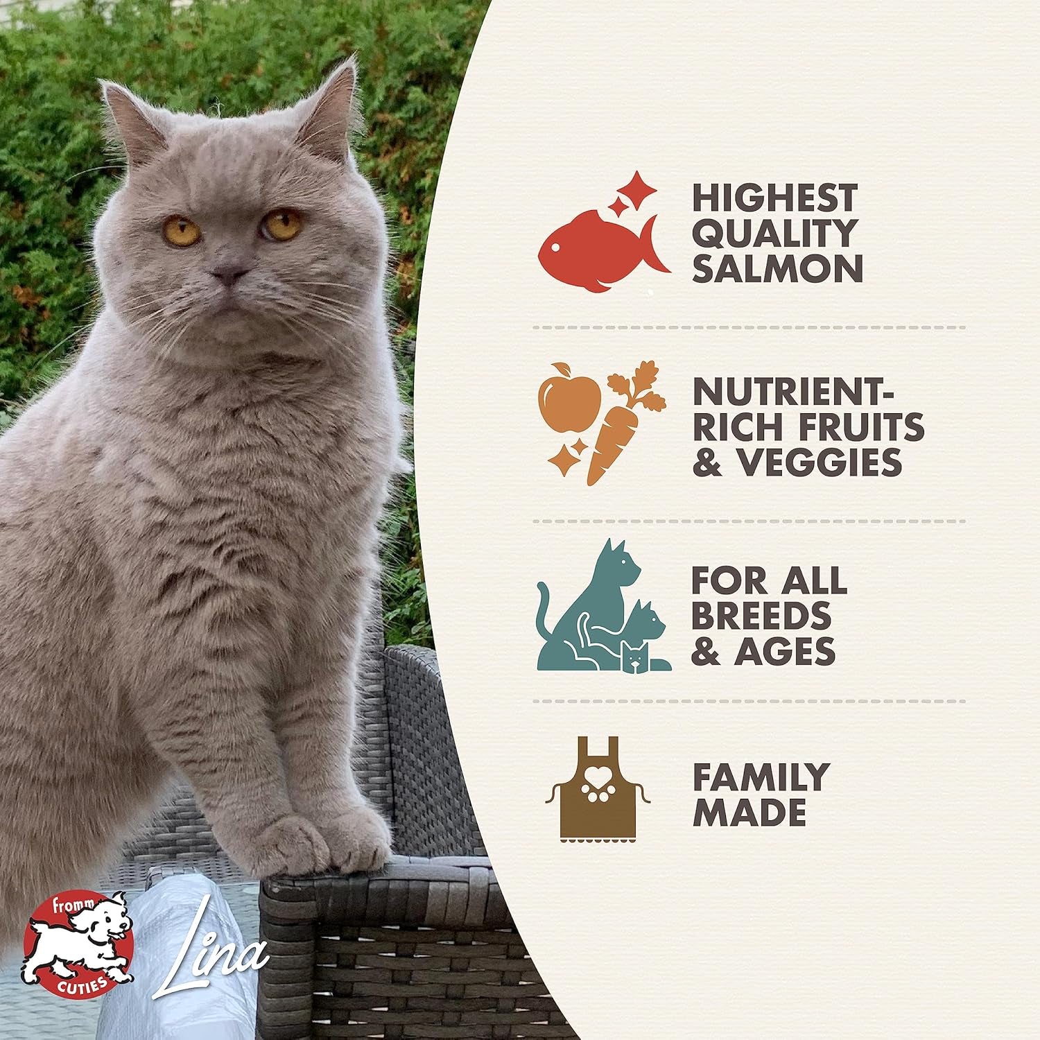 Nutritionals Salmon a La Veg Cat Food - Premium Dry Cat Food - Salmon Recipe - 4 Lb