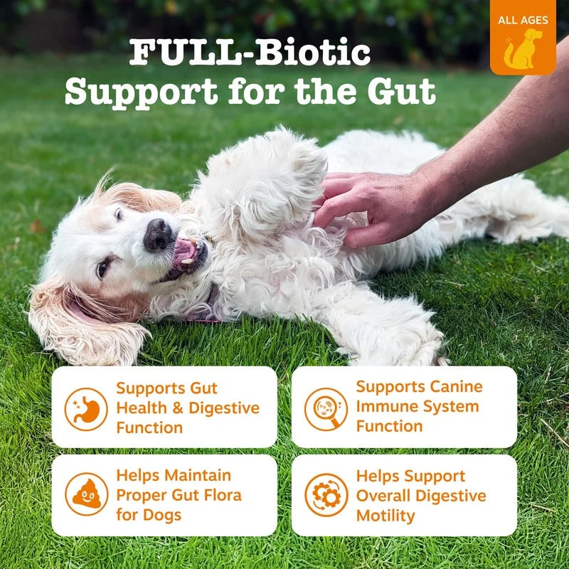 Vet Strength Pre, Post, & Probiotic Bites for Dogs, for Gut Health & Immune Support, Chicken Flavor, 90Ct