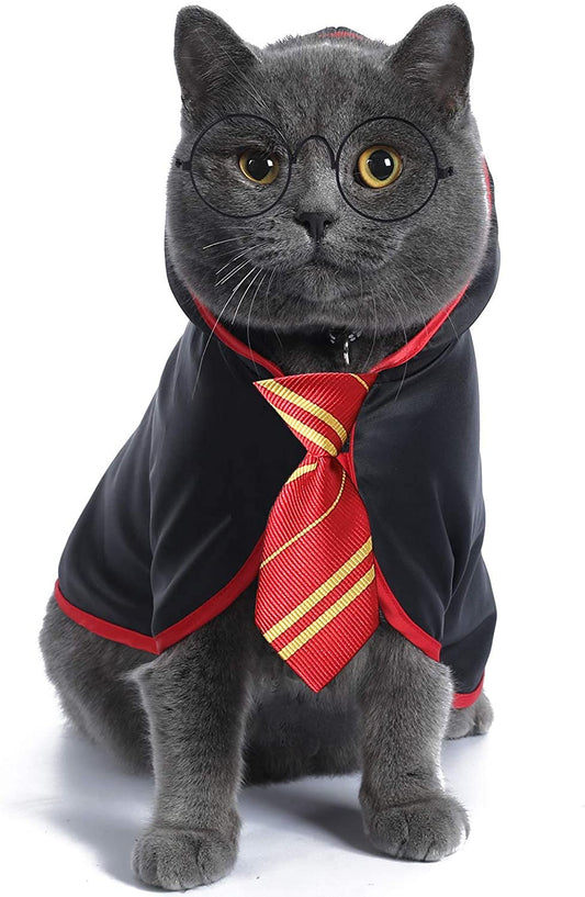 Cat Halloween Costume Anime Pet Clothes for Small Dog Kitten Costume Wizard Accessories Outfits (M)