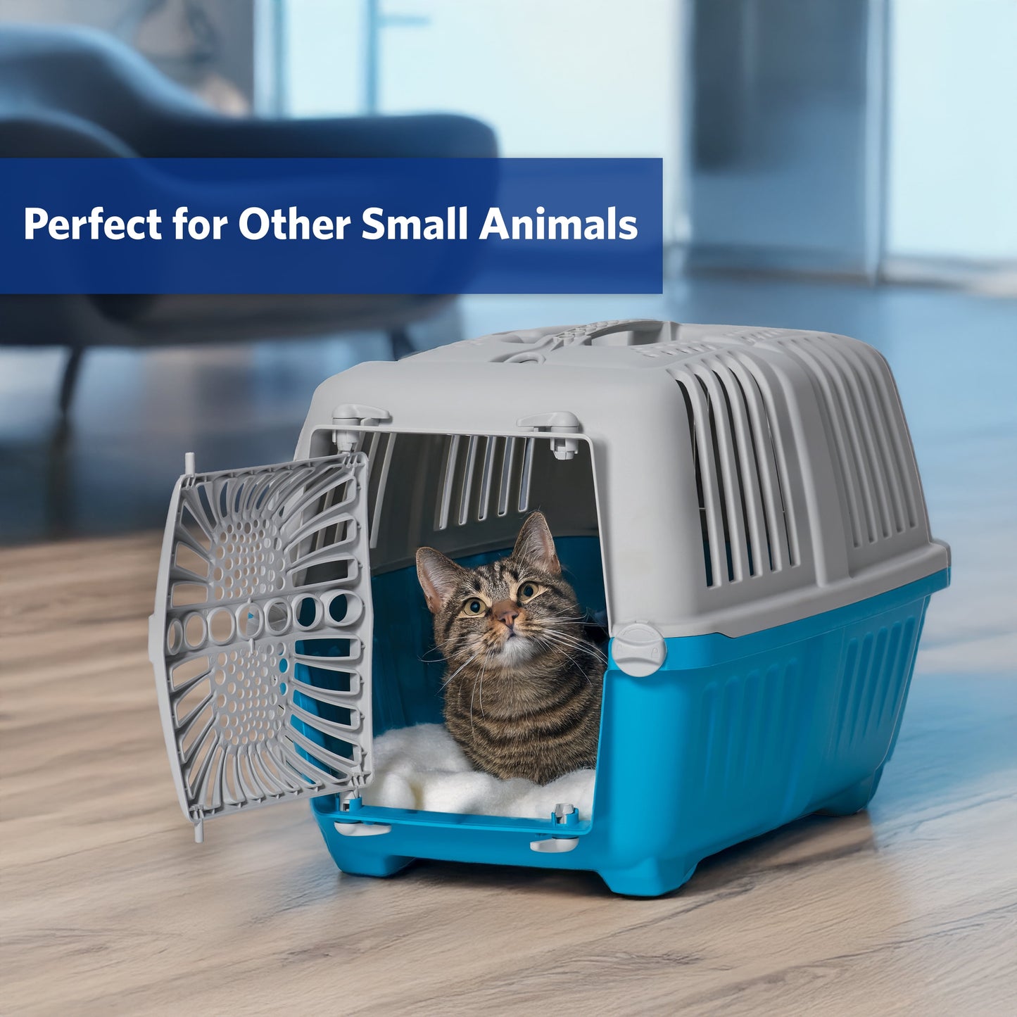 19 Inch Spree Travel Pet Carrier for Dog or Cat with Plastic Door, Blue